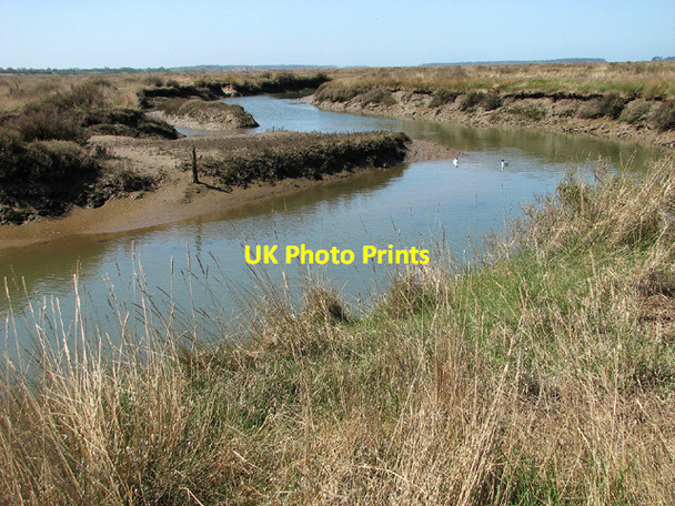 Photo 6"x4" Gulls on tidal creek in Stiffkey salt marshes Stiffkey c2013