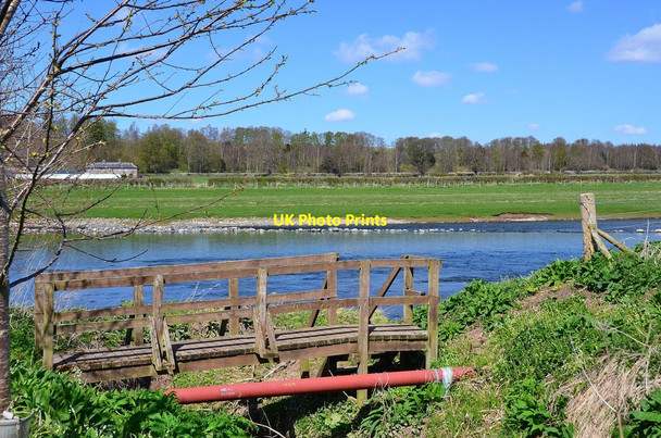 Photo 6"x4" Footbridge by the Tweed, Sprouston Sprouston c2013