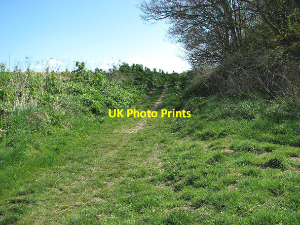 Photo 6"x4" To Stiffkey village on the Bangay Green Way Stiffkey c2013