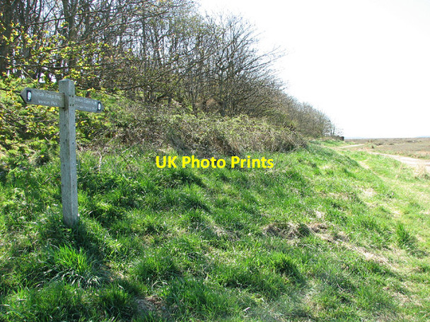 Photo 6"x4" Fingerposts beside the Norfolk Coast Path, Stiffkey Stiffkey c2013