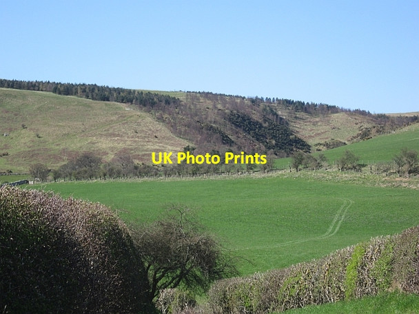 Photo 6"x4" Field, Earle Middleton Hall\/NT9825 c2013