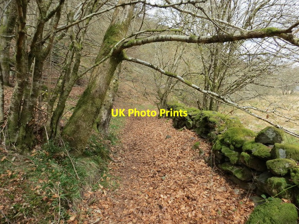 Photo 6"x4" Llwybr Tan y Llyn Footpath Capel Curig c2013