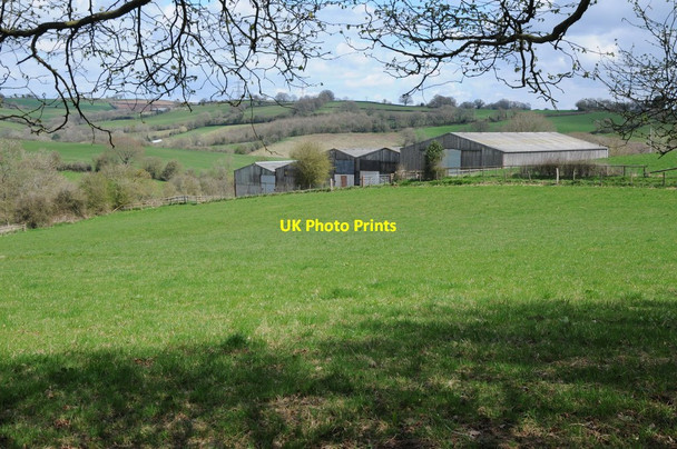 Photo 6"x4" Farm buildings, Grange Farm Tal-y-coed c2013