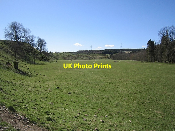Photo 6"x4" Grassland, Lilburn Burn Ilderton c2013