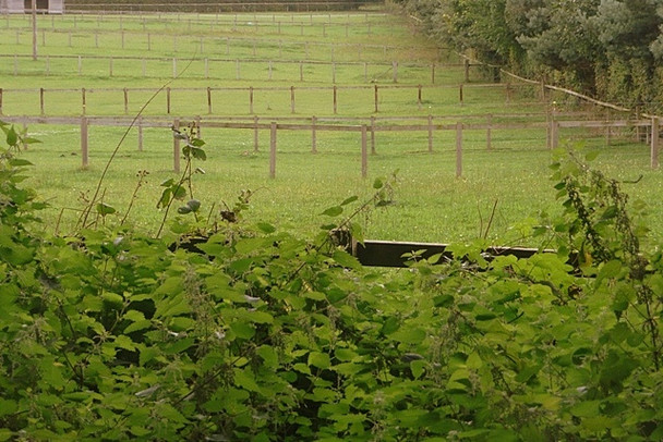 Photo 6"x4" Divided field off Crabtree Lane Curridge c2008