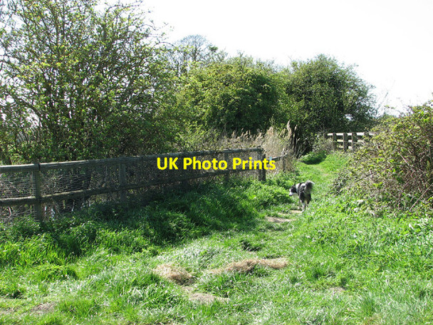 Photo 6"x4" Footpath to the A47 road Acle c2013