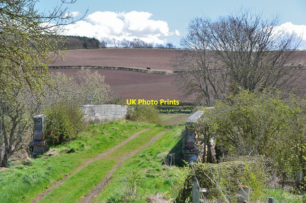 Photo 6"x4" Bridge over old railway near Kerchesters Hadden\/NT7836 c2013