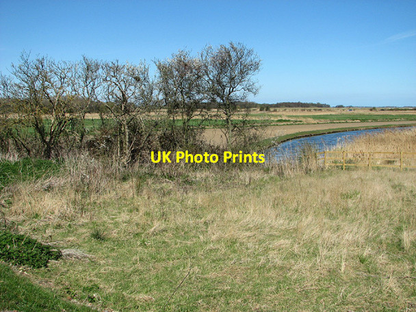Photo 6"x4" Hermitage marshes, Acle Fishley\/TG4011 c2013