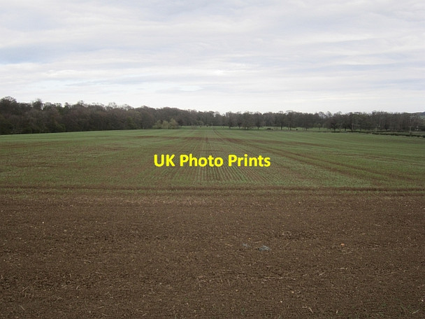 Photo 6"x4" Spring barley Kingston\/NT5482 c2013