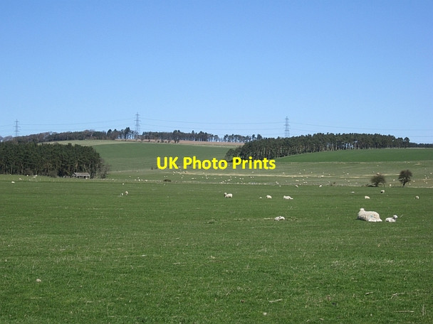 Photo 6"x4" Grassland, Reaveley Ingram c2013