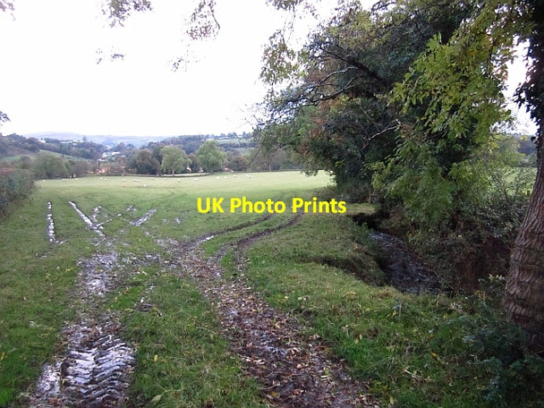 Photo 6"x4" Field off Taboe Road Dunnamanagh c2012