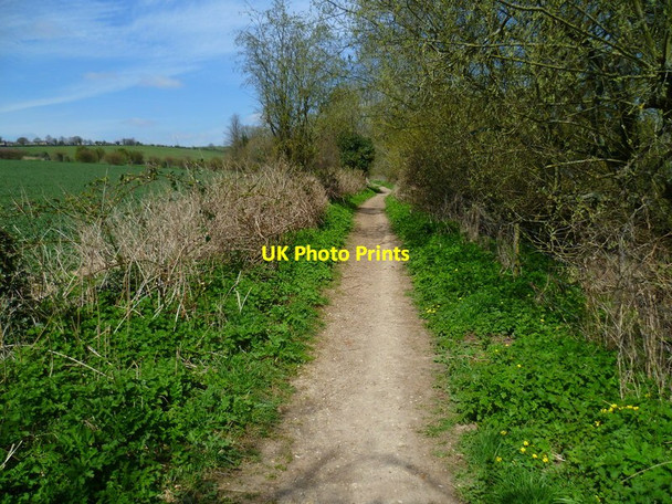 Photo 6"x4" The Orange Way in Wiltshire (189) Salisbury c2013
