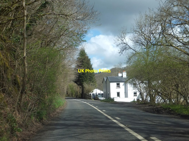 Photo 6"x4" A377 in Woodha Wood Chittlehamholt c2013