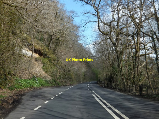 Photo 6"x4" Lay-by by the A377 in Gratleigh Wood Kingford\/SS6219 c2013