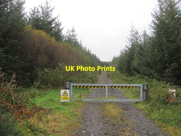 Photo 6"x4" Logging road Ballybofey c2012