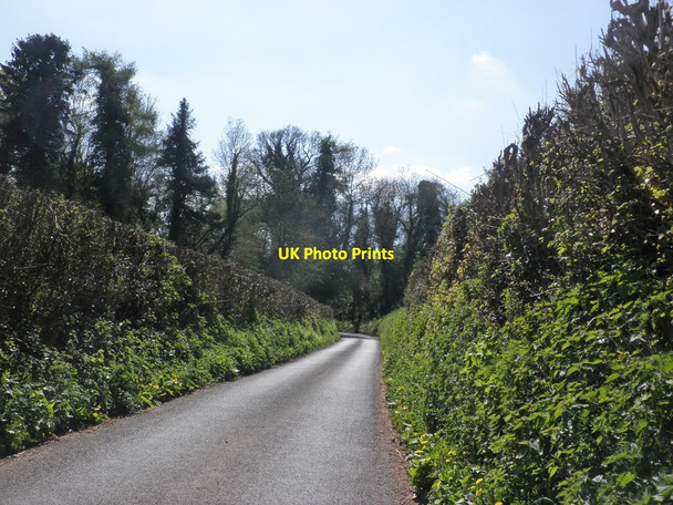 Photo 6"x4" Minor road to Milverton Pond Close c2013
