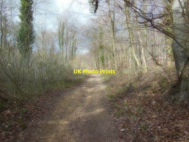 Photo 6"x4" The Cotswold Way near Pillar Mound Paradise\/SO8711 c2013