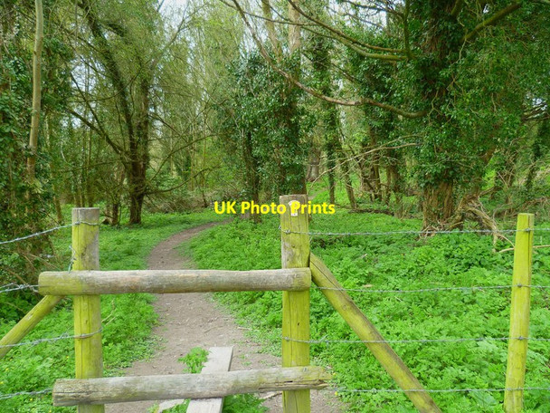 Photo 6"x4" The Orange Way in Wiltshire (244) Brigmerston c2013