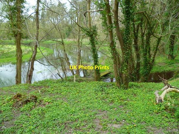 Photo 6"x4" The Orange Way in Wiltshire (246) Brigmerston c2013