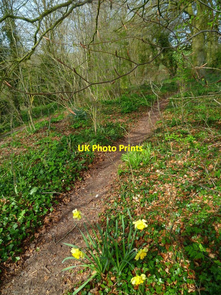 Photo 6"x4" The Orange Way in Wiltshire (265) Figheldean c2013