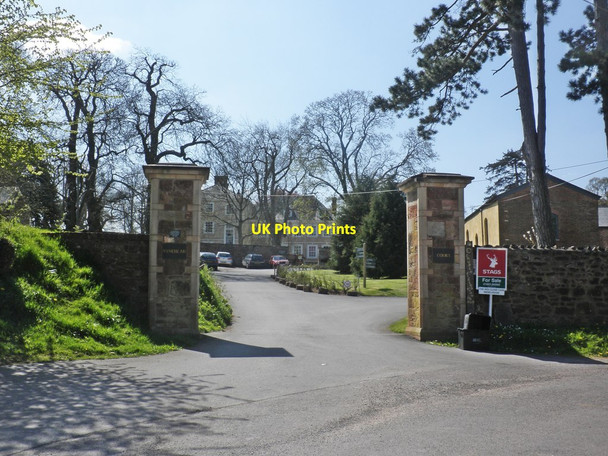 Photo 6"x4" Entrance to Nynehead Court Wellington\/ST1420 c2013