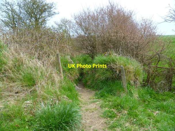 Photo 6"x4" The Orange Way in Wiltshire (330) Brunton\/SU2456 c2013
