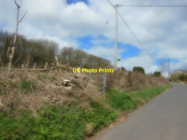 Photo 6"x4" A path leading back to the Cotswold Way Stroud\/SO8405 c2013
