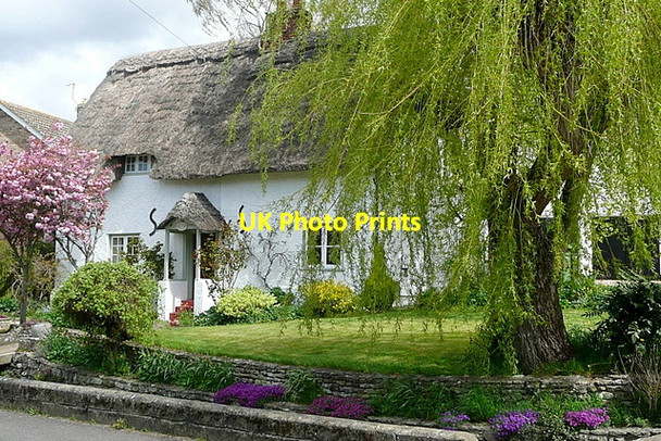 Photo 6"x4" Off the High Street Chalgrove c2013