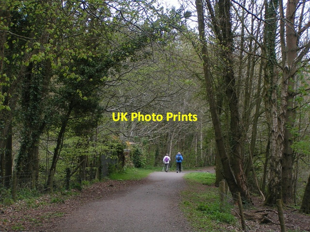 Photo 6"x4" Walkers on the old railway track, heading towards Budleigh Salterton Budleigh Salterton c2013