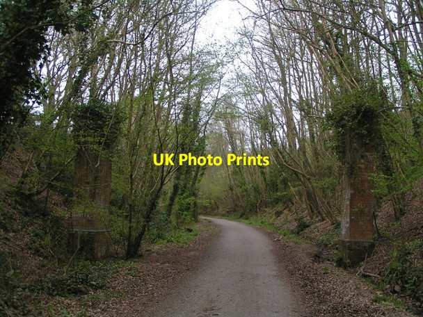 Photo 6"x4" Pillars of a long gone bridge that crossed the long gone railway Budleigh Salterton c2013