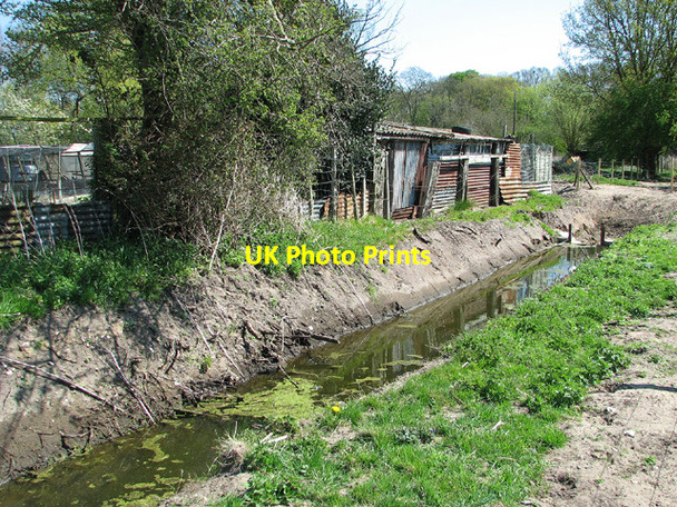 Photo 6"x4" Drainage ditch and allotment gardens, Beccles Common Beccles c2013