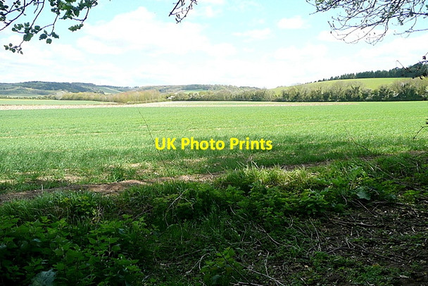 Photo 6"x4" The approaching Chilterns Britwell Salome c2013