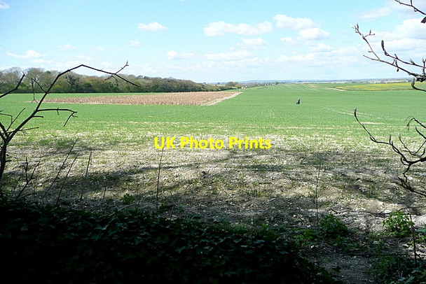 Photo 6"x4" Lunch view Britwell Salome c2013