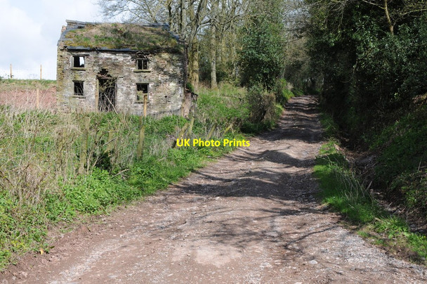 Photo 6"x4" Property with potential Cross Ash c2013