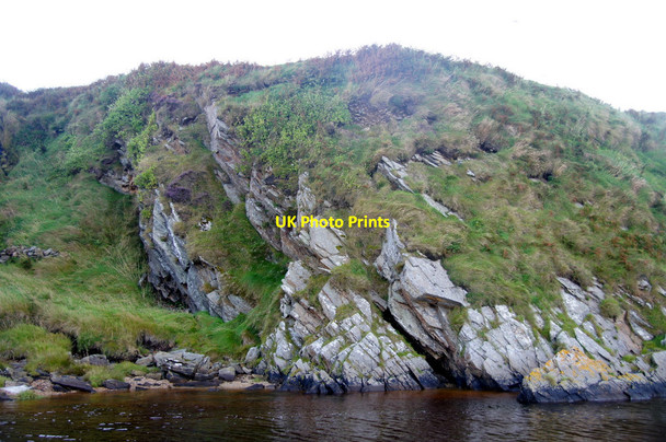 Photo 6"x4" Honeysuckle on a cliff at Burrafirth Burrafirth c2012