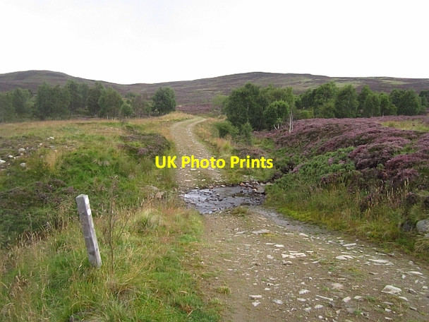 Photo 6"x4" Ford near Auchtavan Thistledae c2012