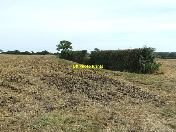 Photo 6"x4" Field Boundary Puttock End c2012