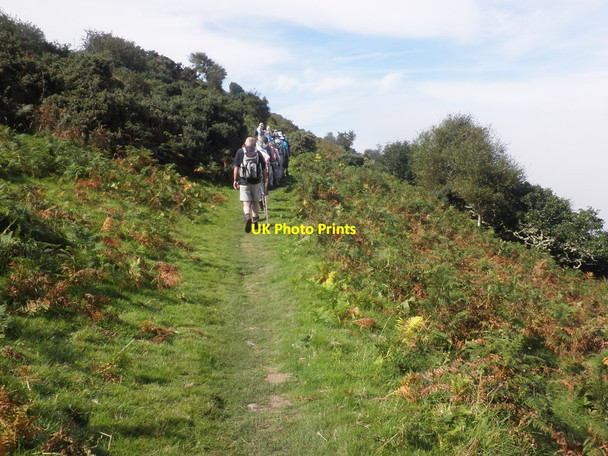 Photo 6"x4" Coastal path, below Desolate Leeford\/SS7748 c2012