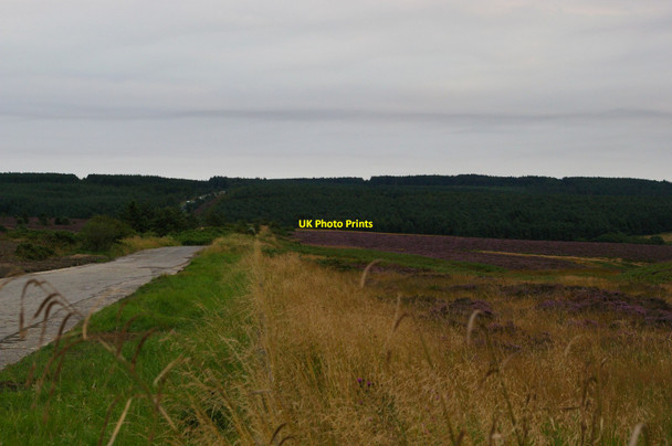 Photo 6"x4" The old road on Jugger How Moor Fylingthorpe c2012