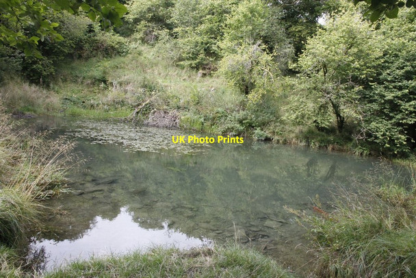 Photo 6"x4" A small pond Hundred House c2012