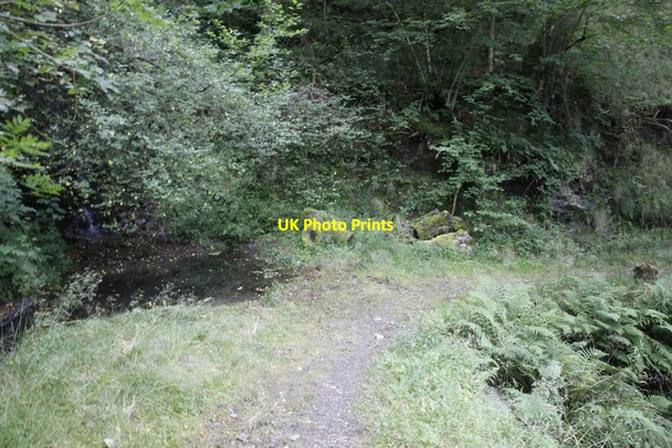 Photo 6"x4" Corner by the waterfall Llansantffraed-in-Elwel c2012