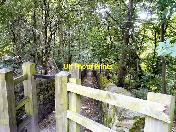 Photo 6"x4" Path to the River Denton\/SJ9295 c2012