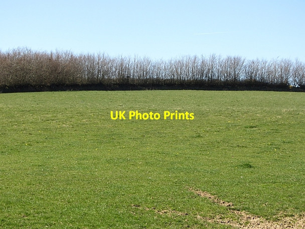 Photo 6"x4" Exmoor grassland Codsend c2012