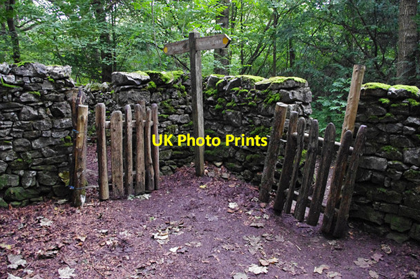 Photo 6"x4" Walls and gates, Arnside Knott Arnside\/SD4578 c2012