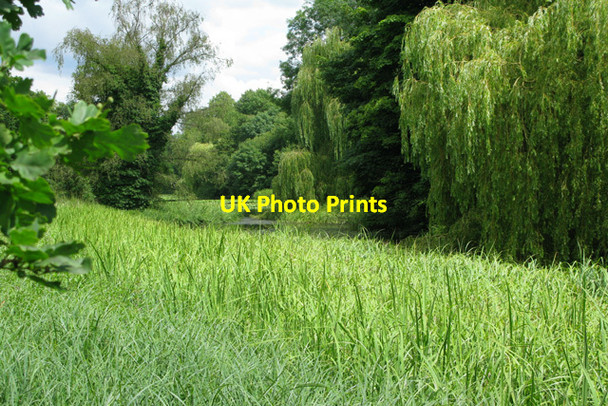 Photo 6"x4" Weed covered Broad Water on the Wrest Park estate Hanscombe End c2012
