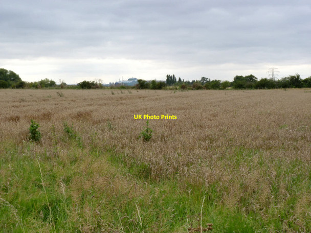Photo 6"x4" Cornfield off Bowbridge Road  Newark-on-Trent c2012