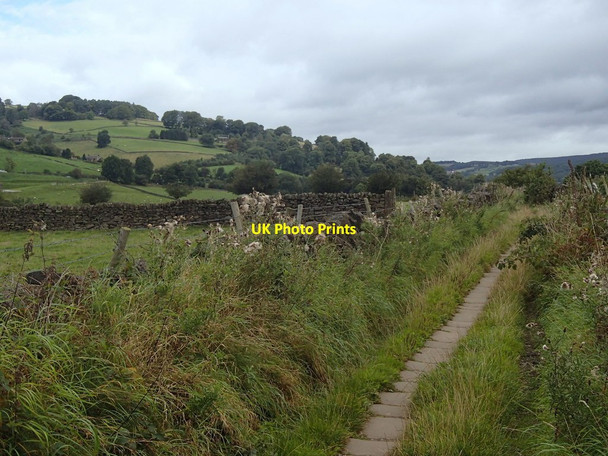 Photo 6"x4" Derwent valley footpath north of Froggatt village Froggatt c2012