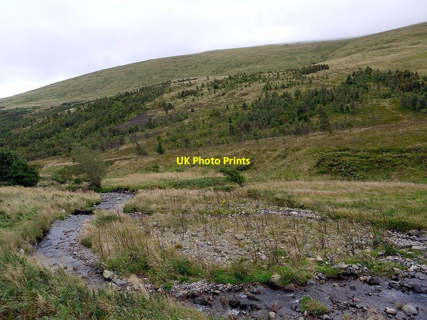 Photo 6"x4" College Burn Sourhope c2012