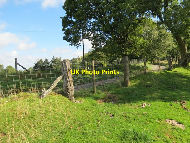 Photo 6"x4" Llwybr wedi ei rwystro \/ obstructed path (Llangamarch) Garth\/SN9549 c2012