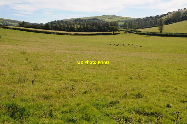 Photo 6"x4" Field near Maes-y-coed Frank's Bridge c2012